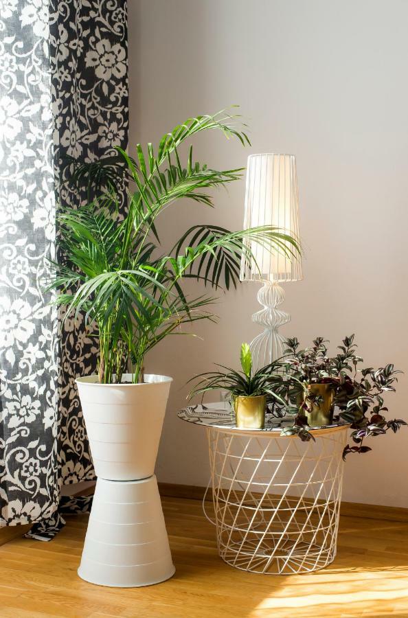 Apartamenty Nowy Swiat Warsaw Luaran gambar